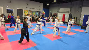 Image result for Park's Martial Arts Coral Springs