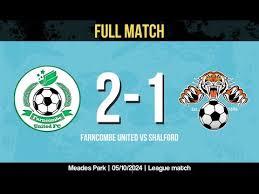 Image result for Shalford F C