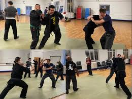 Image result for Peter Kings Dojo