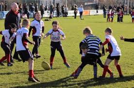 Image result for Ciyms Rugby Football Club