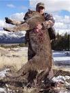 Utah mountain lion hunts
