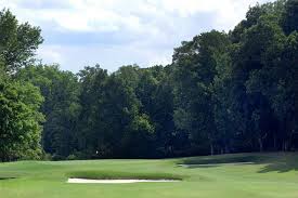 Image result for Gosfield CC