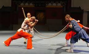 Image result for Shaolin Ancestors kung Fu School