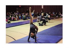 Image result for Faversham Gymnastic & Activity Centre