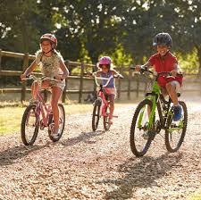 Image result for A-bike