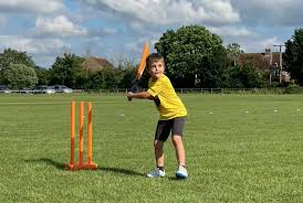 Image result for Buckhorn Weston Cricket Club