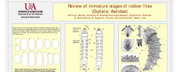 Attēlu rezultāti vaicājumam “Choerades sp.”