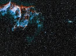 Attēlu rezultāti vaicājumam “Cygnus”