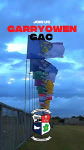 Image result for Garryowen Gfc