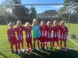 Image result for Redhill Girls Football Club