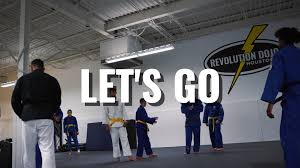 Image result for Revolution Dojo