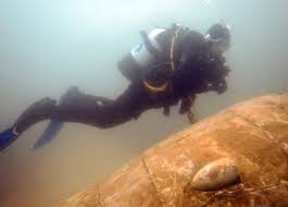 Image result for Bedford Scuba Divers