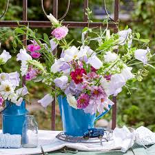 Image result for Marienglockenblumen