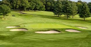 Image result for Chelmsford Gc