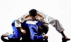Image result for AAZENTAI JU JITSU