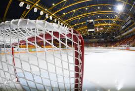 Image result for Cheam Hockey Club