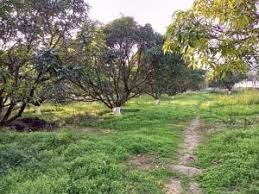 Image result for Forest (Sale) Badminton Club