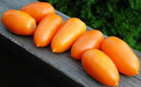 Afbeeldingsresultaat voor belarus orange tomato