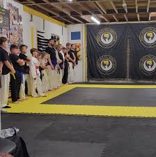 Image result for Thatcham Wado Karate Club