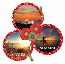 http://t0.gstatic.com/images?q=tbn:ANd9GcTo3vMzuS1rhczKvKqHs8LrR6w6hgX8D34fdDpxPw5TVGu5f0ReiA