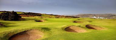 Image result for Betchworth Park Golf Club