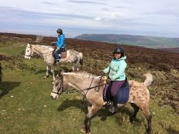 Image result for Porlock Vale Riding School