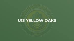 Image result for Wokingx1 Cricket Club