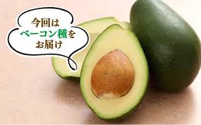 「アボカド大臣」の画像検索結果