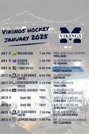Image result for Midland Vikings
