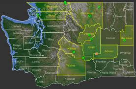 Attēlu rezultāti vaicājumam “Stuckenia filiformis flower”