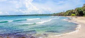 Image result for cahuita costa rica
