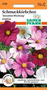 Image result for Schmuckkörbchen