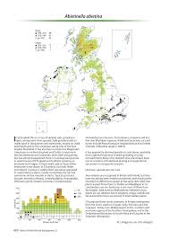 Attēlu rezultāti vaicājumam “Abietinella abietina var. hystricosa”