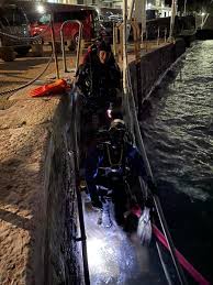 Image result for Bsac London No1 Branch