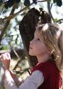 La piccola Morgana Davies in un'immagine del film The Tree - la-piccola-morgana-davies-in-un-immagine-del-film-the-tree-170215
