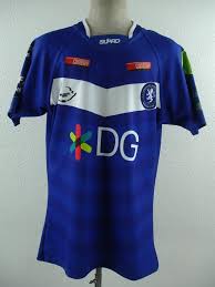 Image result for Swinton Lions