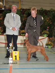 Gerichtet wurden unsere Irish Terrier auf der diesjährigen Klubsieger von dem international renommierten Allgemeinrichter Jochen Eberhardt.