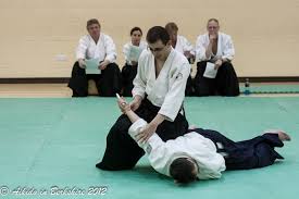 Image result for Aikido Rickmansworth