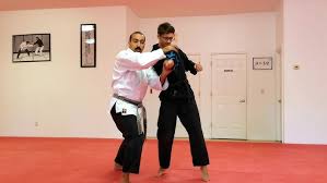 Image result for Goshin Ryu Atemi JuJitsu