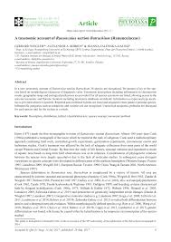 Attēlu rezultāti vaicājumam “Batrachium circinatum flower”