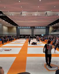 Image result for Keele University Jiu Jitsu Club
