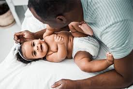 Attēlu rezultāti vaicājumam “Diaperis boleti imago”