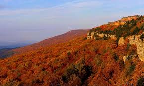 Image result for $$fall_akte__ort$$