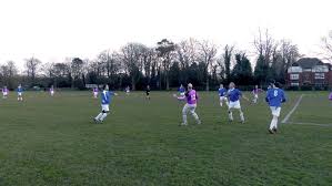 Image result for Old Wokingians Football Club