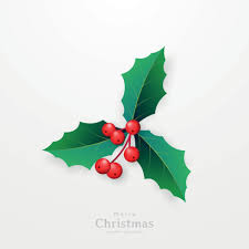 Image result for SIMBOLO DE NATAL