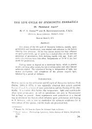 Attēlu rezultāti vaicājumam “Stemonitis herbatica stalked”