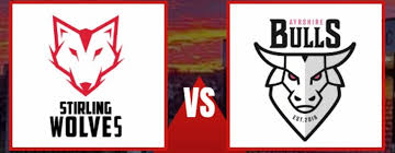 Image result for Stirling Wolves