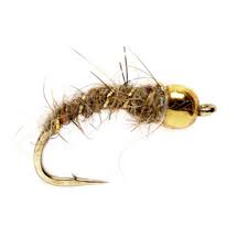 Attēlu rezultāti vaicājumam “nymph”