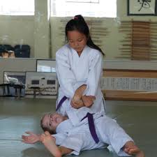 Image result for Ellis Schools of Traditional Aikido