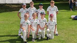 Image result for Ickwell Cricket Club